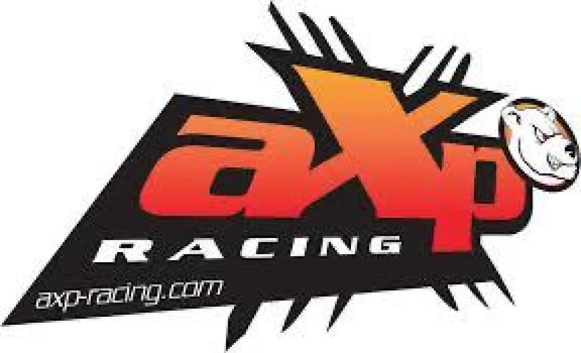 Partner Logo